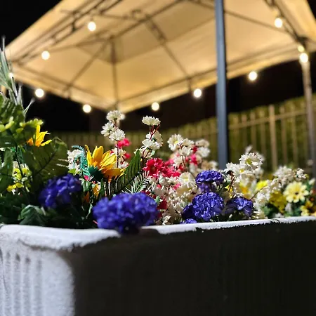 La Primula La Spezia